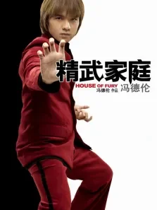 精武家庭电影海报
