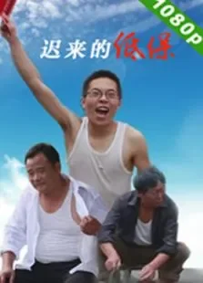 迟来的低保电影海报