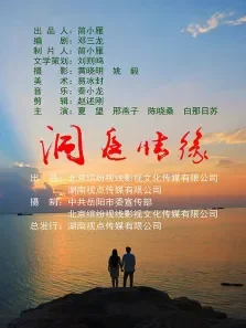 洞庭情缘电影海报