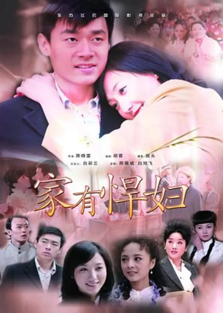 家有悍妇电影海报