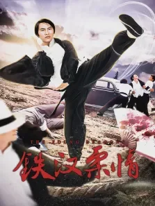 铁汉柔情电影海报