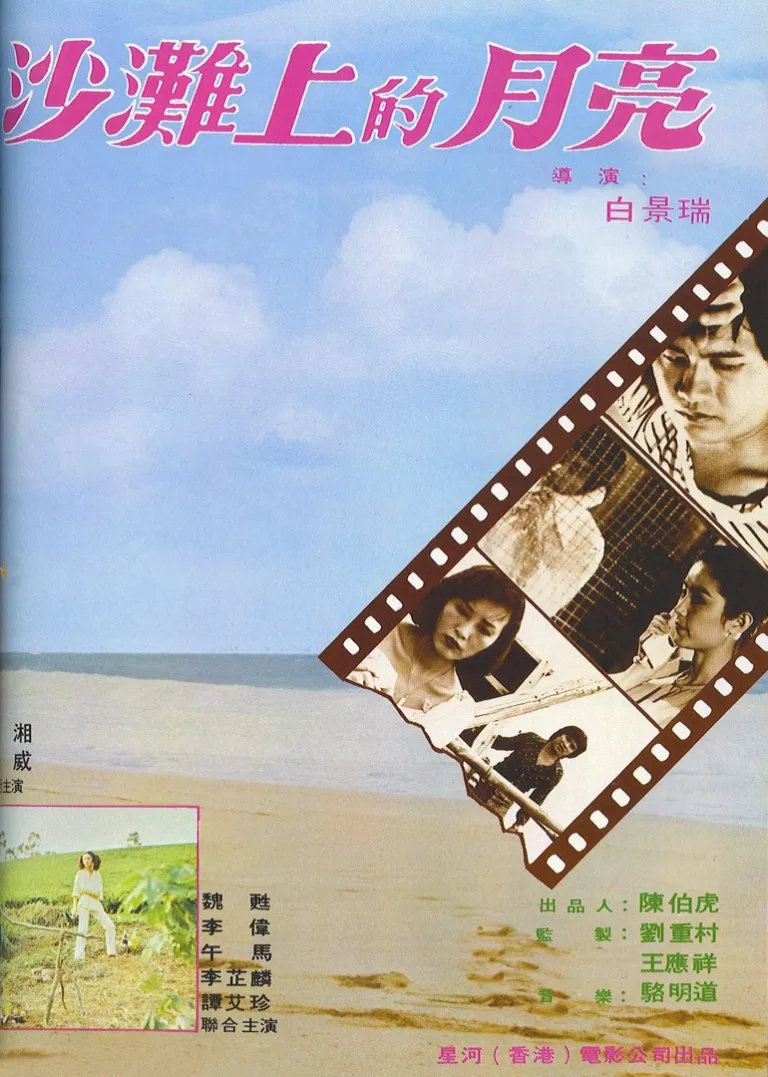 沙滩上的月亮电影海报
