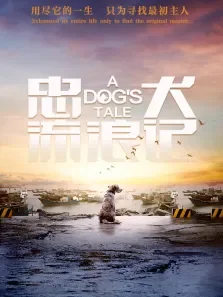 忠犬流浪记电影海报