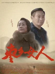 枣乡风情电影海报