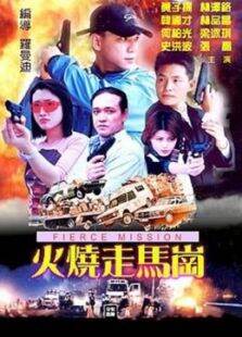 火烧走马岗