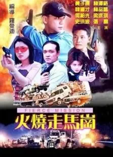 火烧走马岗电影海报