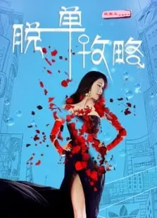 脱单攻略电影海报