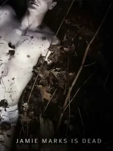 死后的关怀电影海报
