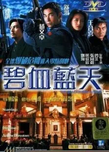 碧血蓝天电影海报