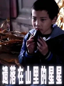 遗落在山里的星星电影海报
