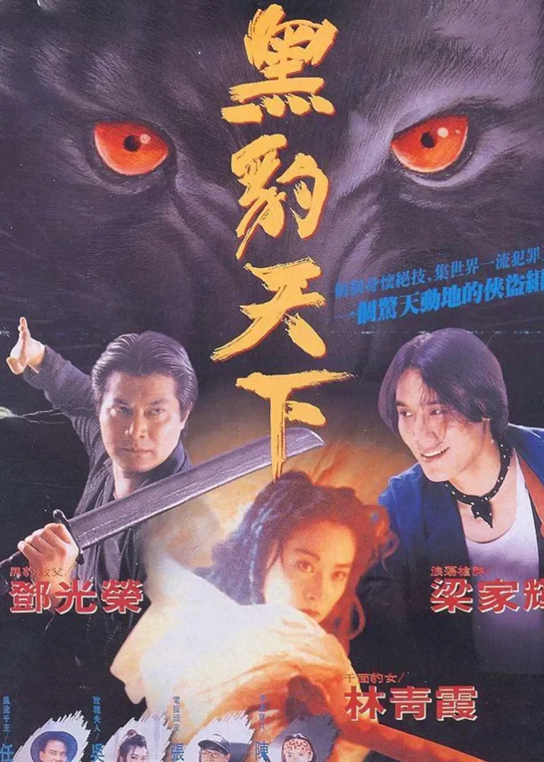 黑豹天下电影海报