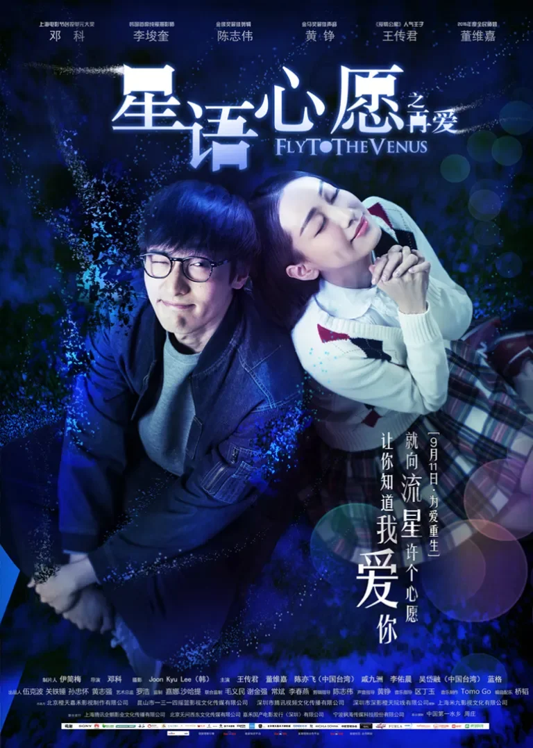星语心愿之再爱电影海报