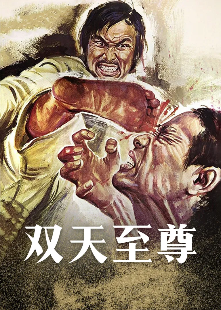 双天至尊电影海报