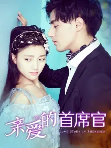 亲爱的首席官电影海报