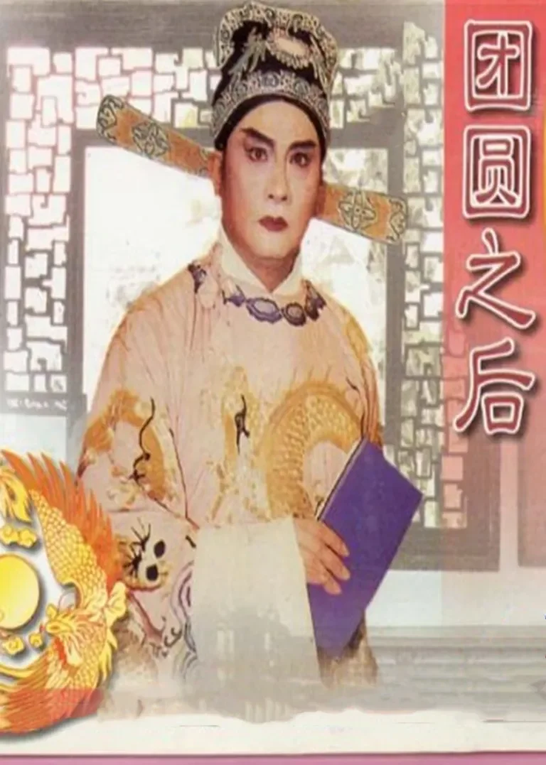团圆之后电影海报