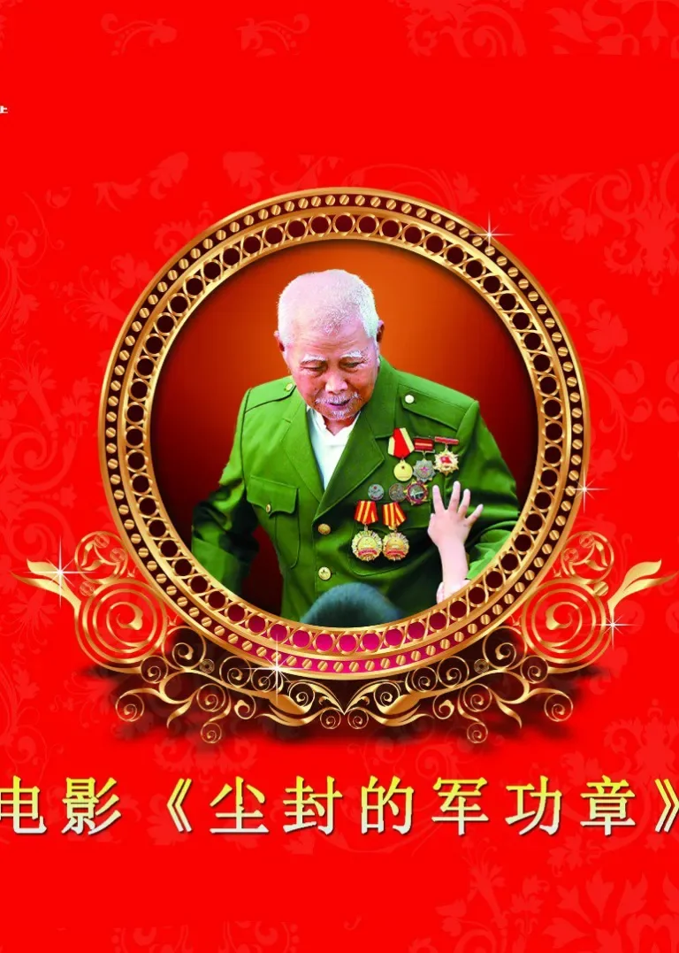 尘封的军功章电影海报