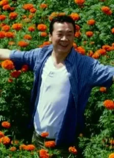 来福来福电影海报