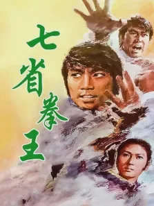 七省拳王电影海报