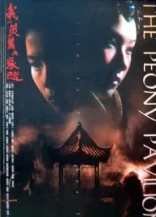 我的美丽与哀愁电影海报