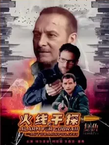 火线干探:深仇电影海报