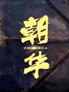 朝华电影海报
