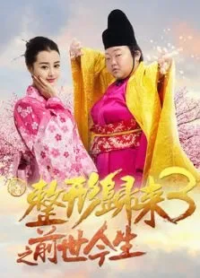 整形归来3:前世今生电影海报