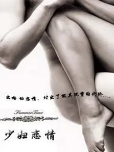 少妇恋情电影海报