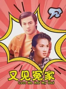 又见冤家电影海报