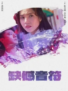 缺憾音符电影海报