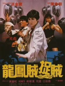 龙凤贼捉贼电影海报