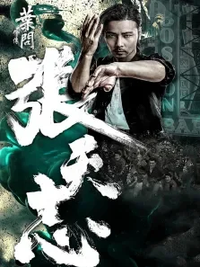 叶问外传:张天志电影海报
