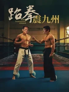 跆拳震九州电影海报
