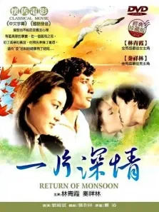 一片深情电影海报