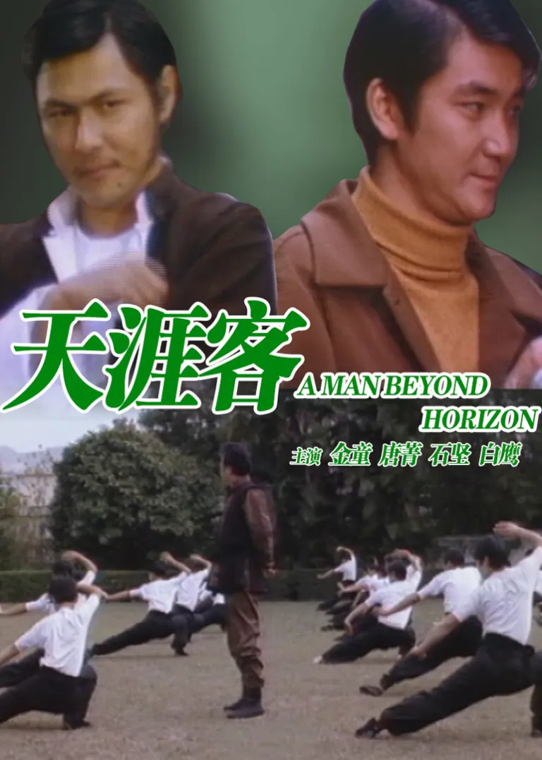 天涯客电影海报