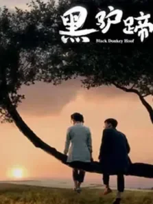 黑驴蹄电影海报