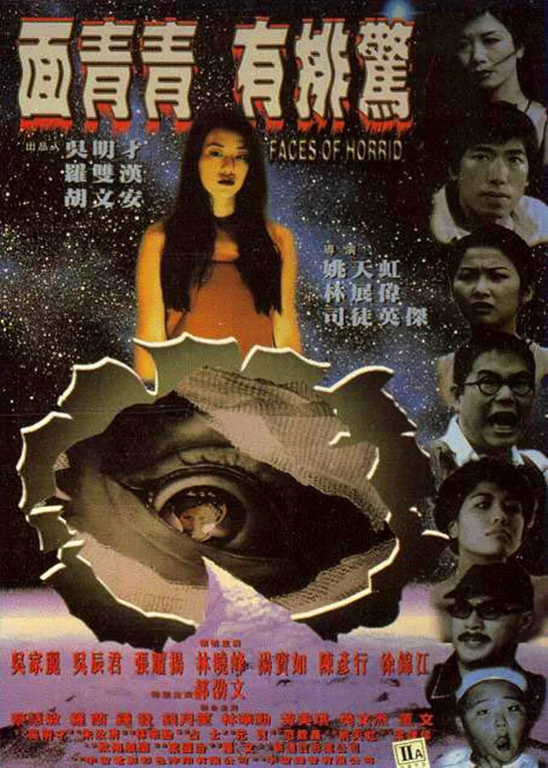面青青有排惊电影海报