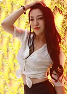 梦归电影海报