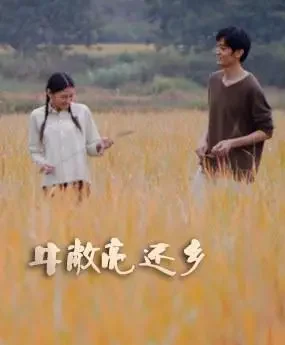 牛敞亮还乡电影海报
