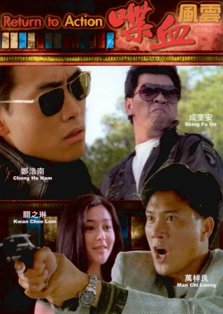 喋血风云电影海报