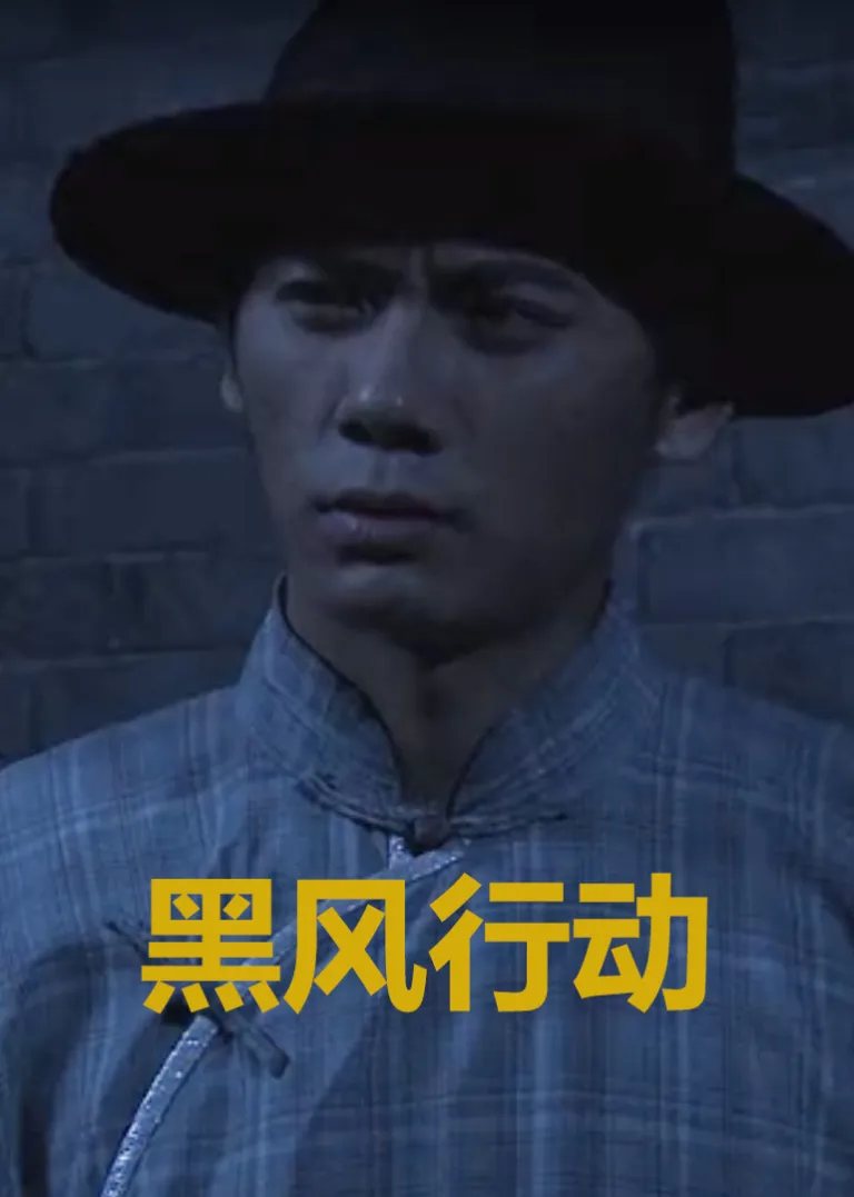 黑风行动电影海报