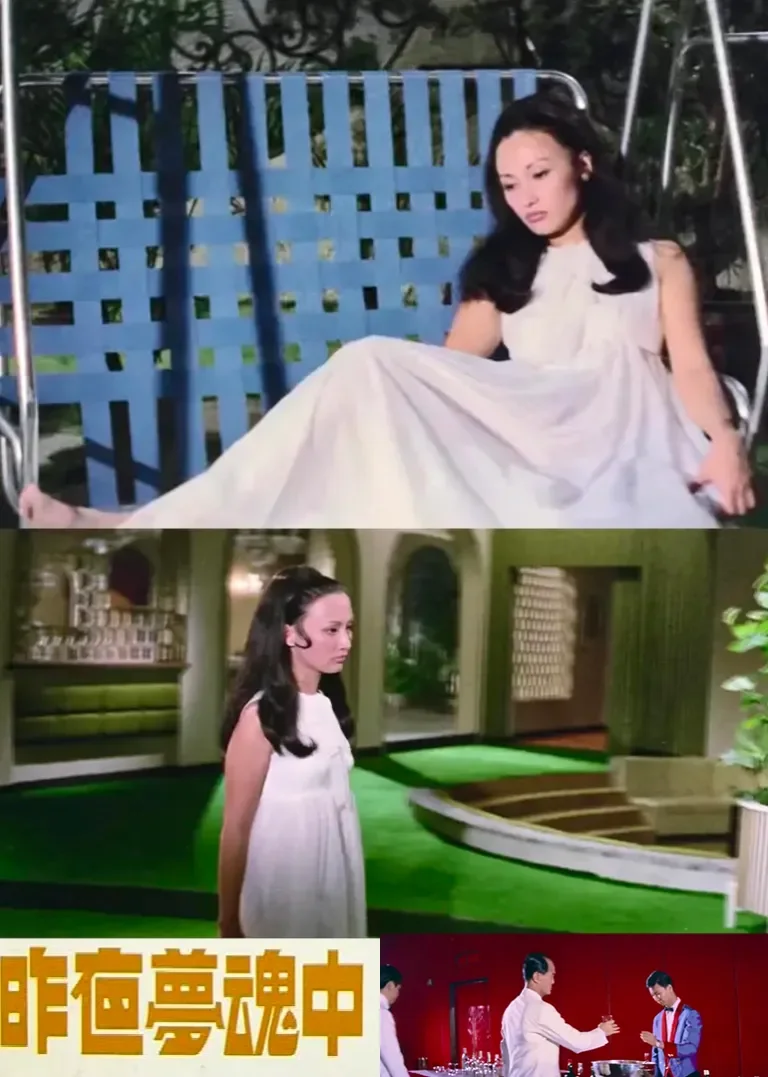 昨夜梦魂中电影海报