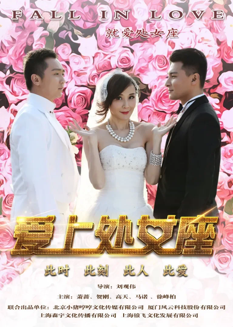 爱上处女座电影海报