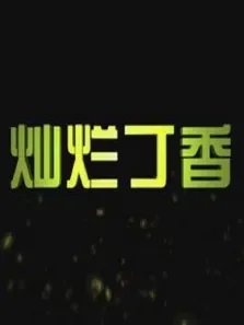 灿烂丁香电影海报