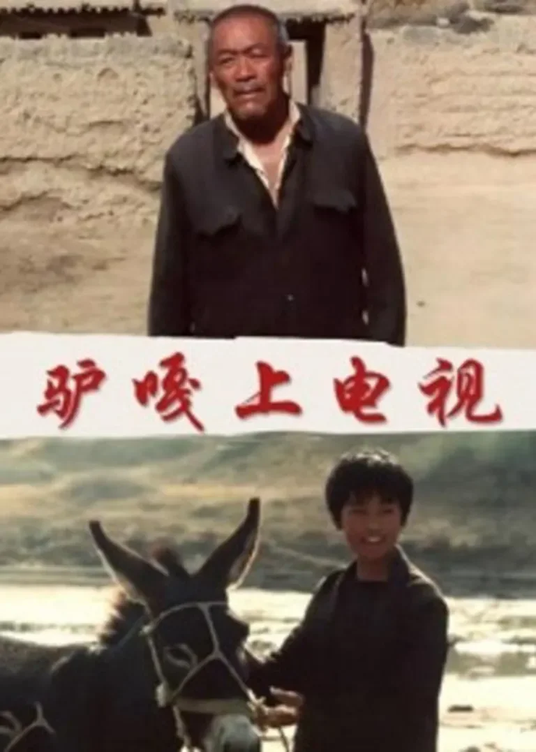 驴嘎上电视电影海报