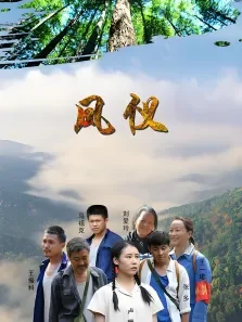 凤仪电影海报