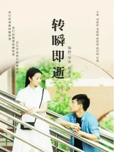 转瞬即逝电影海报