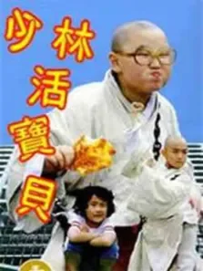 少林活宝贝电影海报