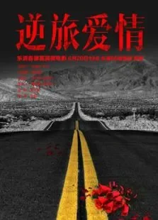 逆旅爱情电影海报