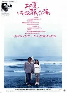 那年夏天宁静的海电影海报
