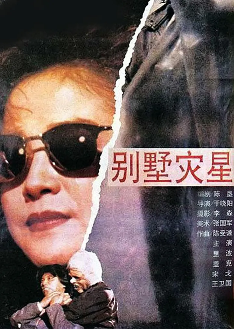 别墅灾星电影海报